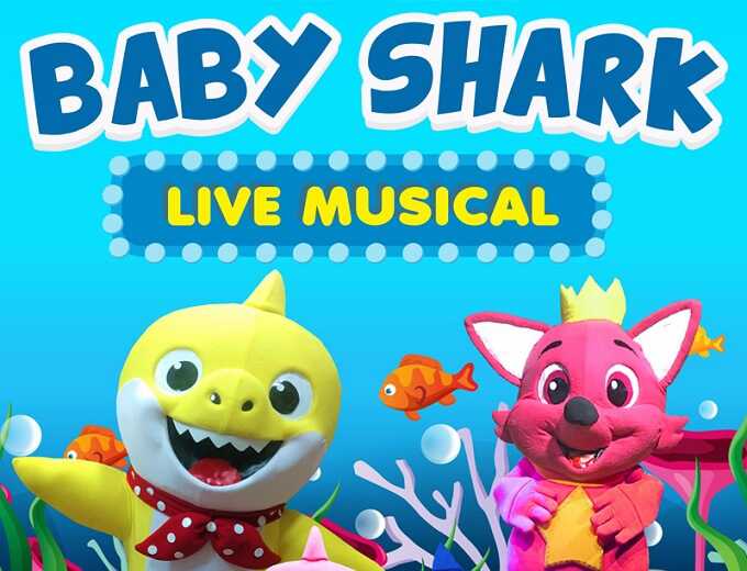 Baby Shark Live Turn Profissional